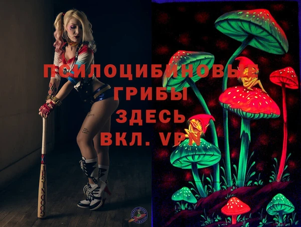 крисы Вяземский