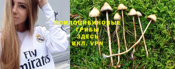 соль курить ск Вязьма