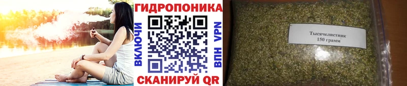 Бошки марихуана гибрид  Пласт 